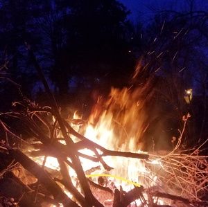 Meet your Posher, Eli